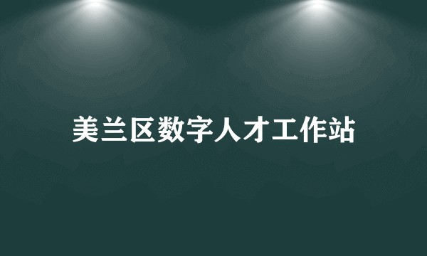 美兰区数字人才工作站