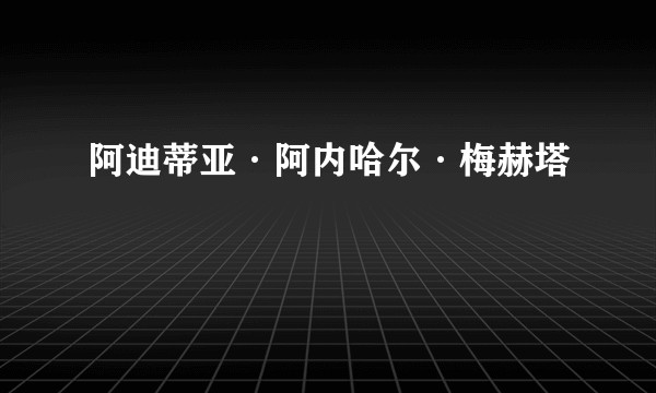 阿迪蒂亚·阿内哈尔·梅赫塔