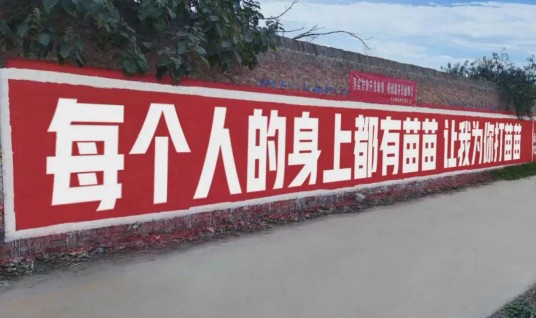 每个人的身上都有苗苗
