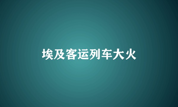 埃及客运列车大火