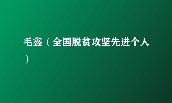 毛鑫（全国脱贫攻坚先进个人）