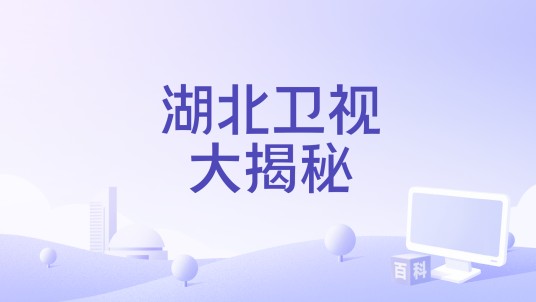 湖北卫视大揭秘
