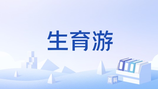 生育游(孕妇去美国旅游生子)