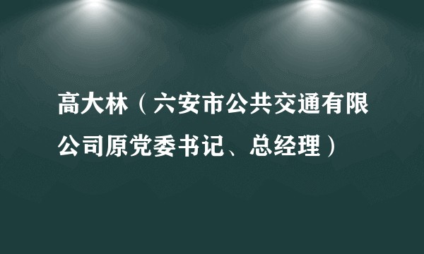 高大林（六安市公共交通有限公司原党委书记、总经理）
