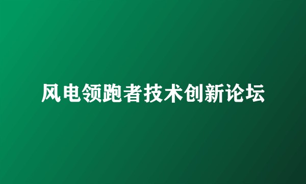 风电领跑者技术创新论坛