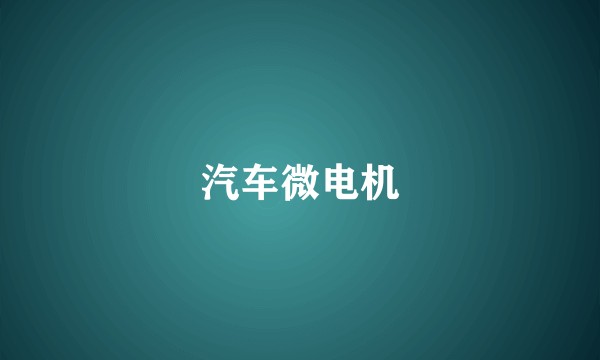 汽车微电机