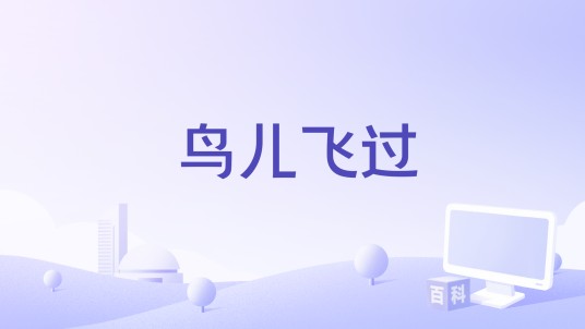 鸟儿飞过