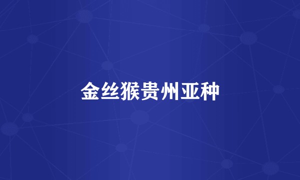 金丝猴贵州亚种