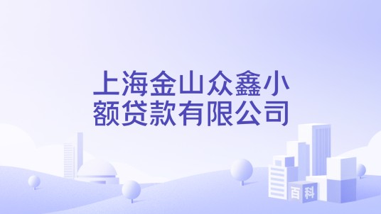 上海金山众鑫小额贷款有限公司