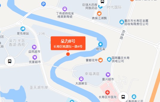 朵力8号