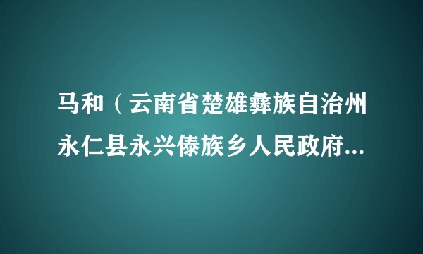马和（云南省楚雄彝族自治州永仁县永兴傣族乡人民政府一级科员）