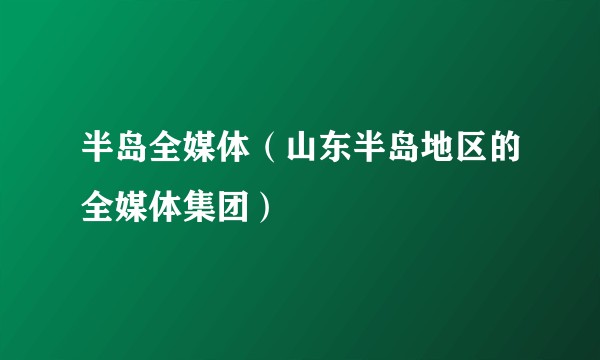 半岛全媒体（山东半岛地区的全媒体集团）