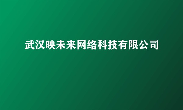 武汉映未来网络科技有限公司
