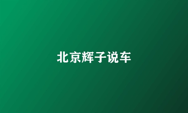 北京辉子说车