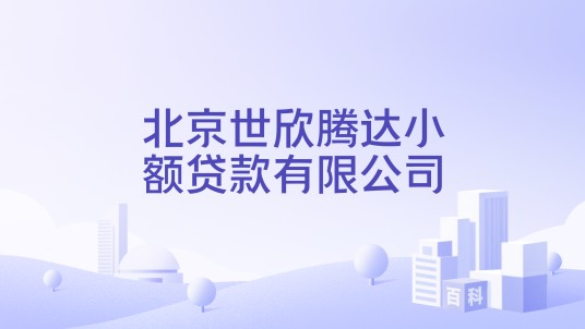 北京世欣腾达小额贷款有限公司