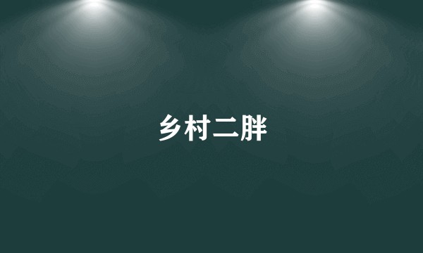 乡村二胖