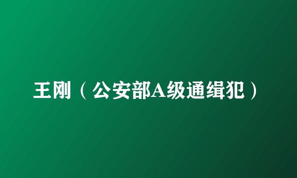 王刚（公安部A级通缉犯）