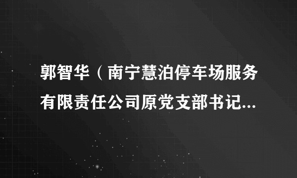郭智华（南宁慧泊停车场服务有限责任公司原党支部书记、董事长）