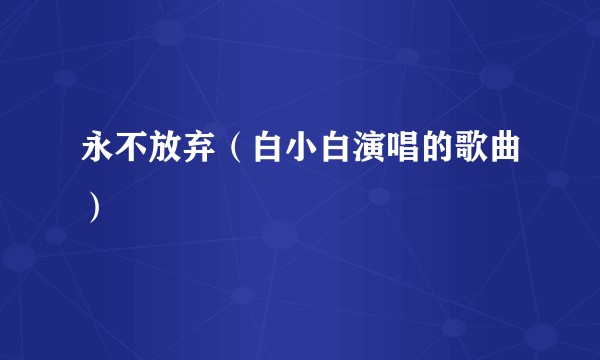 永不放弃（白小白演唱的歌曲）