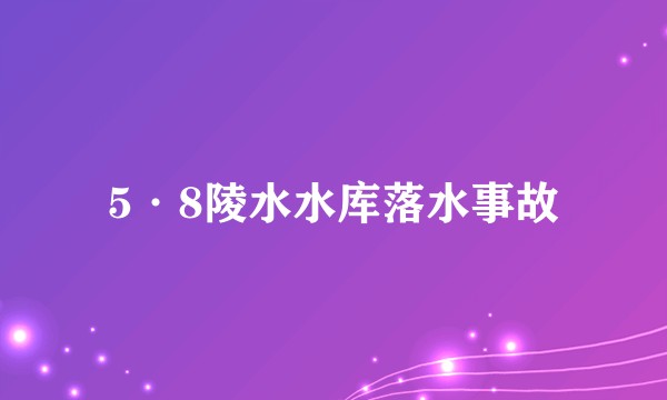 5·8陵水水库落水事故