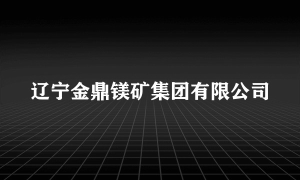 辽宁金鼎镁矿集团有限公司