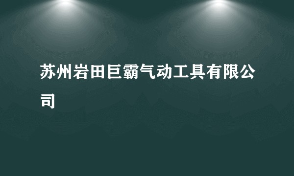 苏州岩田巨霸气动工具有限公司