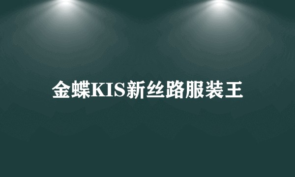 金蝶KIS新丝路服装王