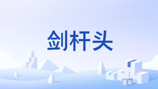 剑杆头