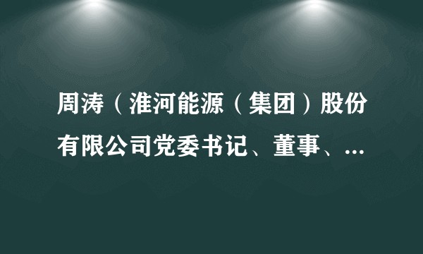 周涛（淮河能源（集团）股份有限公司党委书记、董事、董事长、代理董事会秘书）