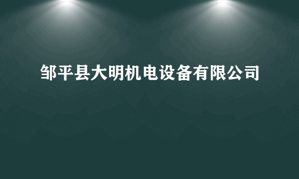 邹平县大明机电设备有限公司
