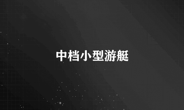 中档小型游艇