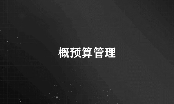 概预算管理