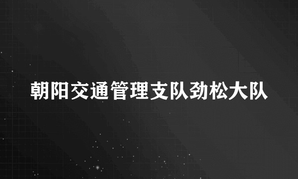 朝阳交通管理支队劲松大队