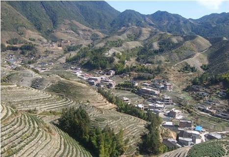 炉地村（福建省泉州市安溪县感德镇下辖村）