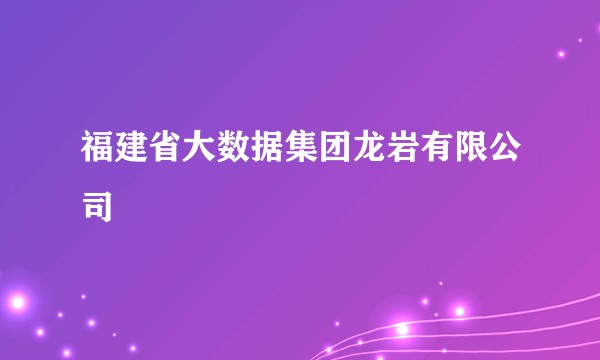 福建省大数据集团龙岩有限公司