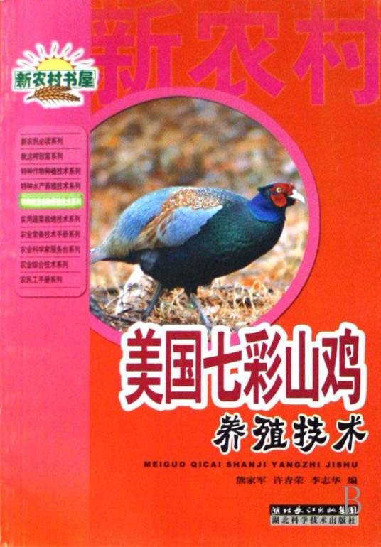 美国七彩山鸡养殖技术