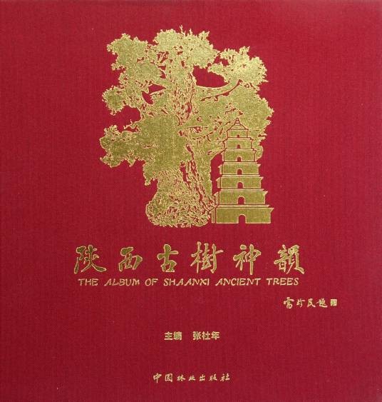 陕西古树神韵