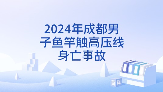 2024年成都男子鱼竿触高压线身亡事故