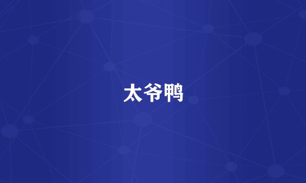 太爷鸭