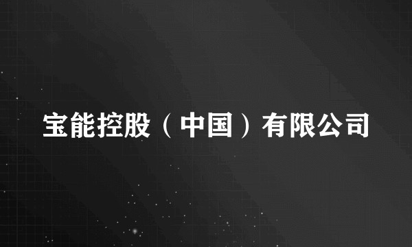 宝能控股（中国）有限公司