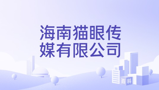 海南猫眼传媒有限公司