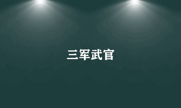 三军武官