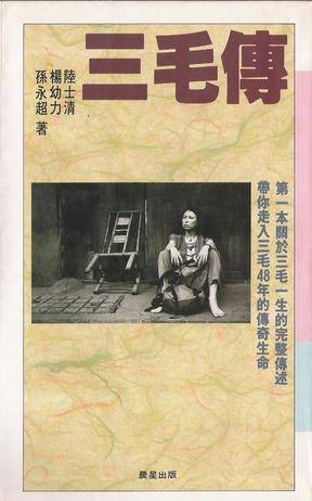 三毛传（1993年晨星出版社出版的图书）