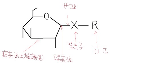 苷类