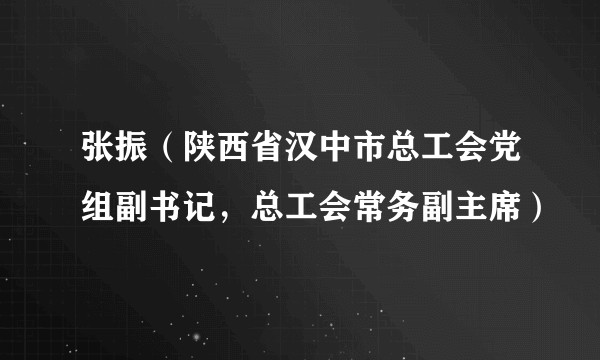 张振（陕西省汉中市总工会党组副书记，总工会常务副主席）