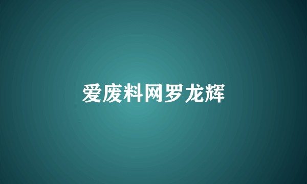 爱废料网罗龙辉