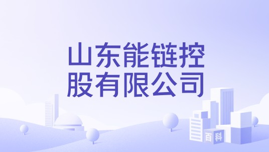 山东能链控股有限公司