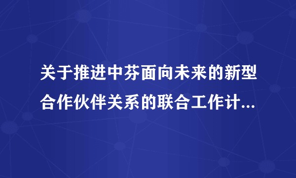关于推进中芬面向未来的新型合作伙伴关系的联合工作计划(2025-2029)