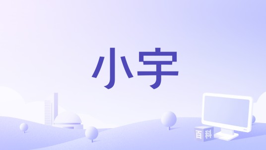 小宇（2024年希林娜依·高演唱的歌曲）