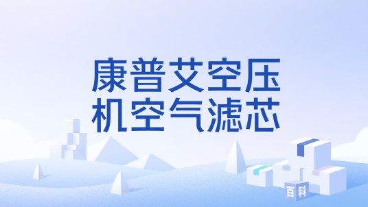 康普艾空压机空气滤芯